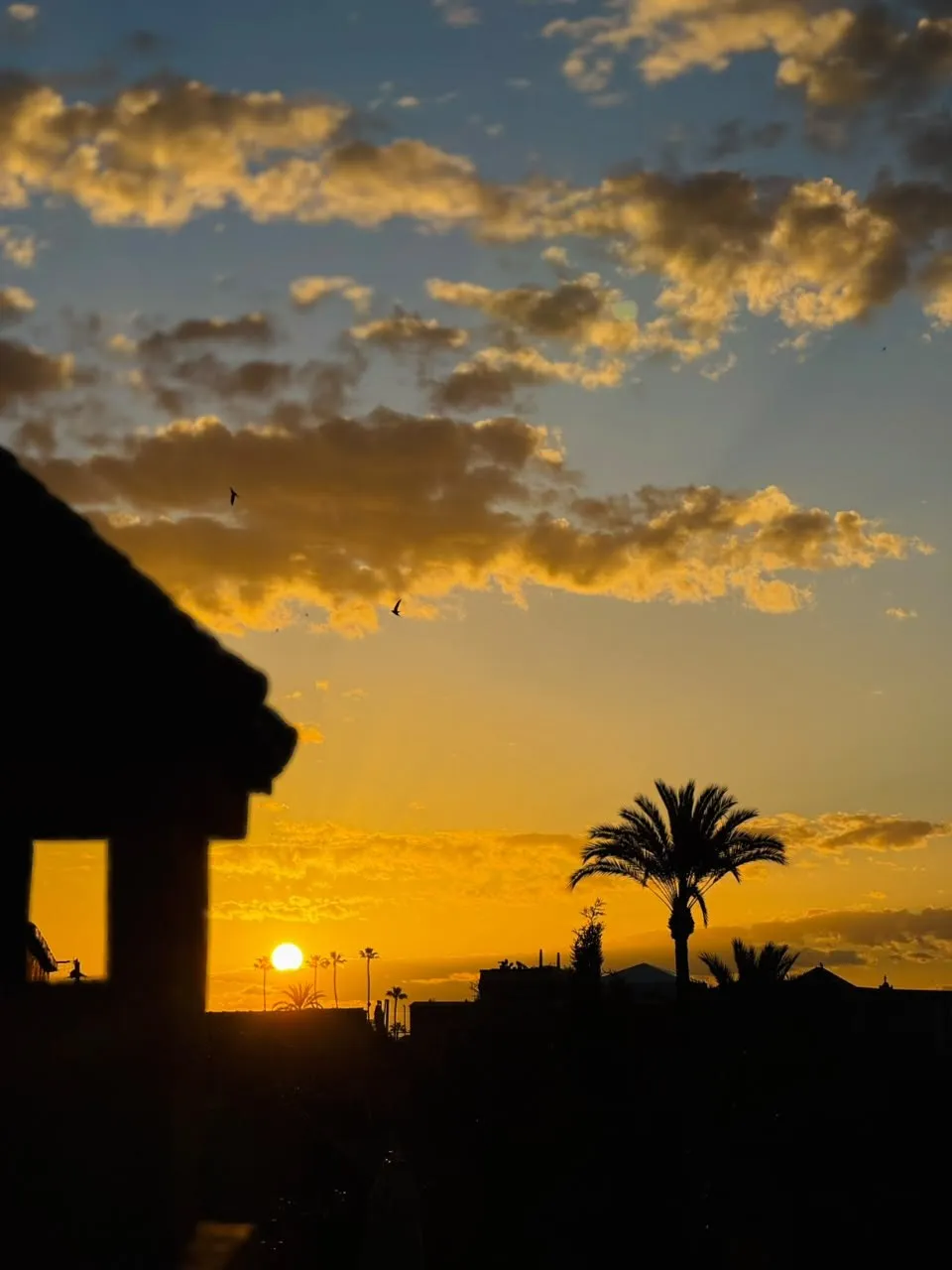 Rooftop at sunset